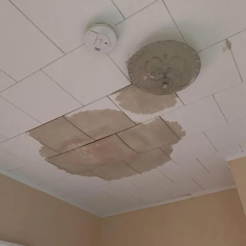 Ceiling Water Damage Repair in Falling Water, TN