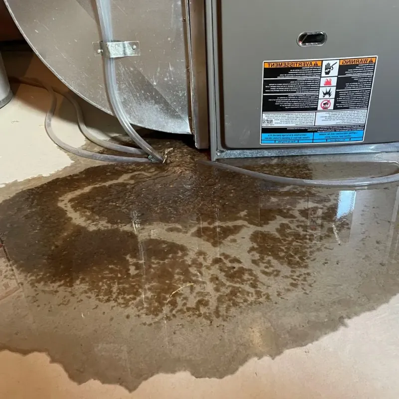 Pipe Burst and Leak Restoration in Falling Water, TN