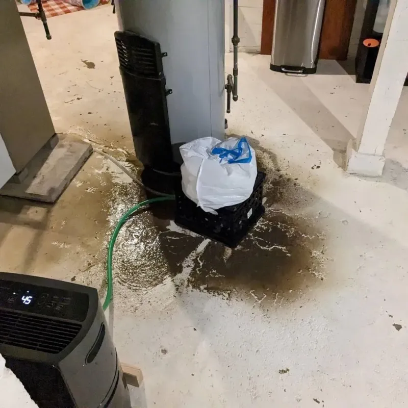 Sewage Backup Cleanup Service in Falling Water, TN